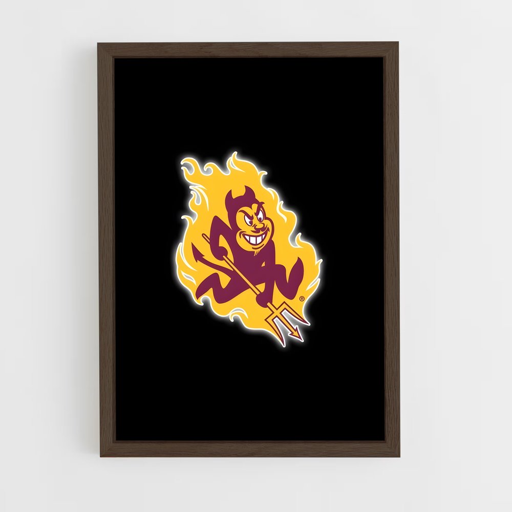 Poster Minnesota Spirit – affiche Baseball (vue 5)